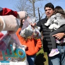 هيئة الرقابة ومكافحة الفساد تباشر (120) قضية جنائية