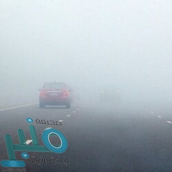 حتى الـ 7 مساءً .. تنبيه من أمطار متوسطة إلى غزيرة على محافظتي القنفذة والليث