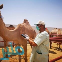 انفجار بناقلة نفط قبالة ميناء جدة