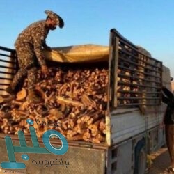 حتى الـ 4 مساءً .. تنبيه من سحب رعدية ممطرة على محافظتي القنفذة والليث