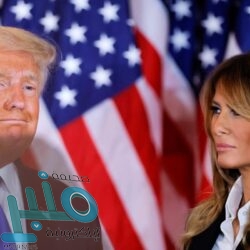 ضبط 101 شاحنة محملة بالحطب المحلي المعد للبيع بعدة مناطق