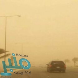 موارد مكة تضبط 1231 مخالفة خلال أكثر من 5 آلاف جولة تفتيشية