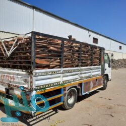 وزير الرياضة: دورة الألعاب الآسيوية 2034 في الرياض ستكون فارقة واستثنائية