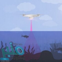 بيريز يفكر في إقالة زيدان من تدريب ريال مدريد وتعيين بوكيتينو‎