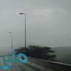 محافظ الطائف يدشن أول بازار افتراضي للأسر المنتجة