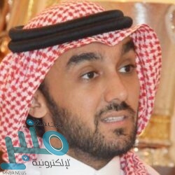 ضبط 101 شاحنة محملة بالحطب المحلي المعد للبيع بعدة مناطق