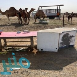 “سكني”: 60% متوسط الحجوزات في الضواحي السكنية الكبرى