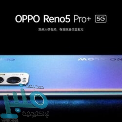 اكتشاف نوع جديد من الورد محفوظ منذ 100 مليون عام (صور)