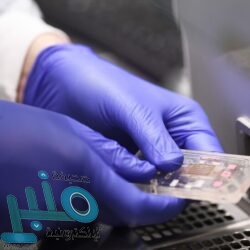 بعد عقود من السبات العميق .. إحياء القطارات السريعة العابرة لأوروبا