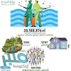 الأسهم السعودية تتفاعل مع إعلان الميزانية .. المؤشر يتجاوز 8700 نقطة بسيولة 11.8 مليار ريال