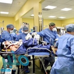 شركة نباتات للمقاولات توفر وظائف هندسية وسائقين معدات شاغرة