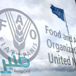 البنك المركزي السعودي يصدر قرارًا هامًا بشأن إصدارات “أذونات ساما”