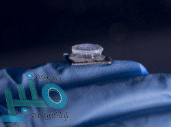 “هدف”: مبالغ دعم برامج التوظيف والتدريب تتجاوز إعانة “حافز” لأول مرة