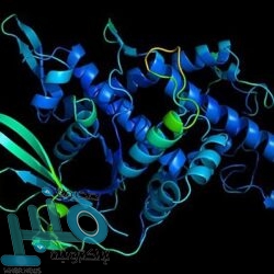 ستيفاني فرابارت أول امرأة تحقق هذا الحدث في مباراة بدوري أبطال أوروبا