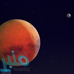 الأهلي يتوج بلقب كأس مصر