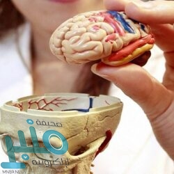 بيريز يفكر في إقالة زيدان من تدريب ريال مدريد وتعيين بوكيتينو‎