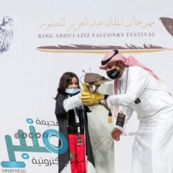 “البيئة” تصادر 150 طنًا من الحطب المحلي في 5 مناطق