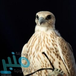 نجاح استئصال ورم من رقبة مريضة بمستشفى الملك عبدالله في بيشة