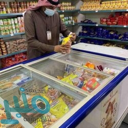 “البيئة” تنظم ورشة عمل لتطبيق شروط وإجراءات استيراد الخضار والفاكهة