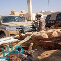 “التخصصات الصحية” تدعم القطاع الصحي بـ 250 خريجا وخريجة من برنامج “الترميز”