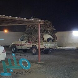 مجمع الملك عبدالله في جدة يحتضن برنامج الترميز الطبي الوطني الموحد