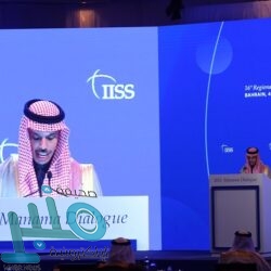 “البيئة” تصادر 150 طنًا من الحطب المحلي في 5 مناطق