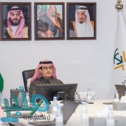 جهود المملكة في مكافحة الفساد .. واهتمام القيادة بالقضاء عليه