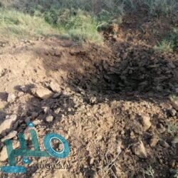 أمين مجلس”الداخلية العرب”: أجهزة الشرطة والأمن كانت في الصفوف الأولى لمقاومة كورونا