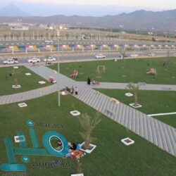 التحالف: 6 سفن في ميناء الحديدة لتفريغ حمولتها و8 تنتظر الدخول للميناء