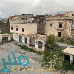 الرئيس اليمني يثمن جهود التحالف لإنجاح اتفاق الرياض