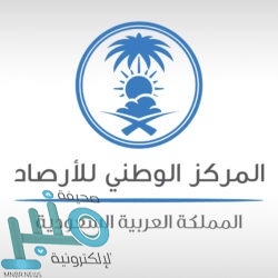 وزير الشؤون البلدية يوجه بالتحقيق في مقطع البائع المتجول في الباحة