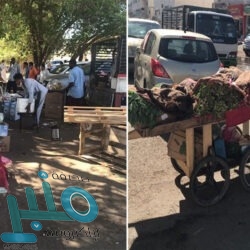 “المواصفات”: تسجيل 58 ألف منتج مسجل عبر منصة سابر خلال نوفمبر