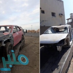 “البيئة” تودع أكثر من 118 مليون ريال لدعم مربي الماشية ضمن برنامج الإعانات الزراعية