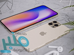 بينها المحار.. 5 أطعمة تمنع الآثار السلبية للشيخوخة