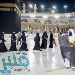 التعويض والغرامة .. تفاصيل الحكم على مؤسسة استخدمت تصاميم إبداعية لأحد الشركات