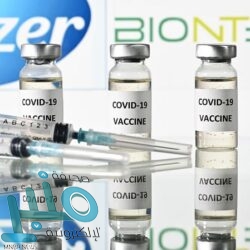 الأميرة هيفاء آل مقرن: المملكة أكبر داعم ومعزز لحضور اللغة العربية في اليونسكو