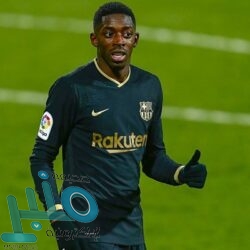 6 أطعمة بديلة للحوم دون أي نقص بالغذاء والبروتين