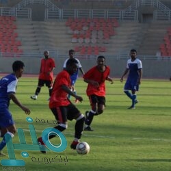 “تقويم التعليم”: أعداد المتقدمين لاختبارات الرخصة المهنية تتجاوز 35 ألف متقدم