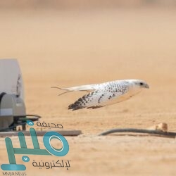 عقب إعلان نتائج الانتخابات.. أمير الكويت يقبل استقالة الحكومة