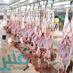 إجراء أكثر من 6 آلاف فحص إشعاعي في مجمع الملك فيصل الطبي في الطائف