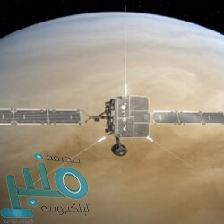 هل يكفي تعرضك للشمس في الشتاء للحصول على فيتامين “د”؟