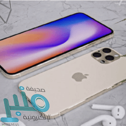 رابطة الدوري الإنجليزي تكشف بروتوكول عودة الجماهير للملاعب