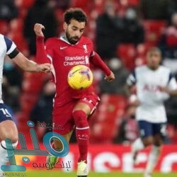 فيسبوك يلغي أشهر خاصية.. ويوضح السبب