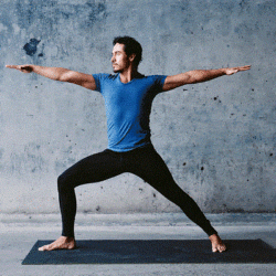 اكتشاف سر تطور سم الكوبرا القاتل في الأصل