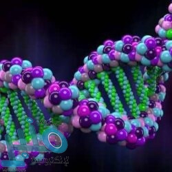 بعد اقتحام الكونغرس.. “أمازون” و”أبل” تحذفان تطبيق Parler