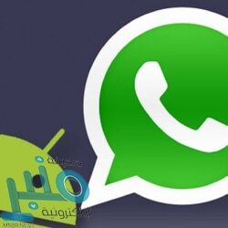 بيتوني مساعد زيدان: “بطء” عملية تجديد عقد سيرجيو راموس لن تؤثر عليه