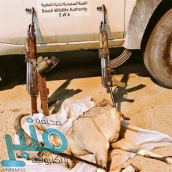 عضو سابق بـ “النيابة” : نساء طلبن الطلاق من أجل الوظيفة رغم توفير الأزواج جميع احتياجاتهن (فيديو)