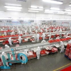 الأرصاد: طقس مستقر يتخلله سماء غائمة على بعض المناطق