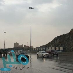 إزالة تعديات على مساحة 150 ألف متر مربع في محايل