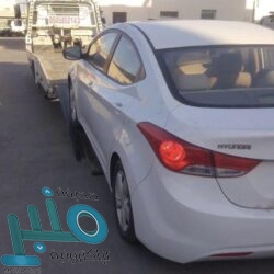 الأمير عبدالرحمن بن خالد يكشف مبادرات نادي الإبل في الاستثمارات المحلية والخارجية